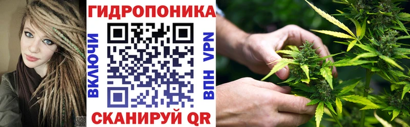 купить наркоту  Ермолино  мориарти телеграм  Канабис SATIVA & INDICA 
